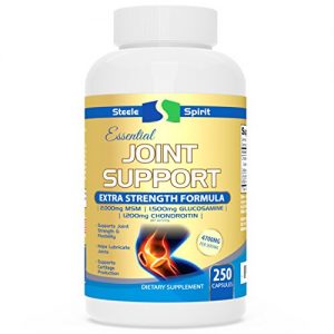 MSM Chondroitin Glucosamine Joint Support, 2000 mg, 250 Caps