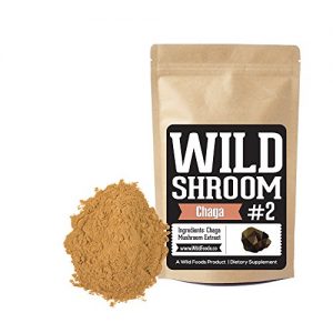 Chaga Mushroom Extract 10:1, Vegan, Paleo, All-Natural Adaptogenic Nootropic Superfood, 2 oz