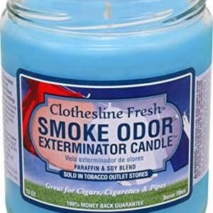 Smoke Odor Exterminator 13 oz Jar Candle, Clothesline Fresh