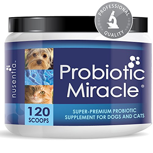 Buy Probiotics for Cats, Dogs, 120 Scoops special discount and free shipping